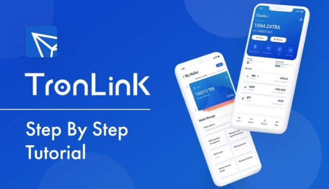 如何查看波宝钱包中的交易记录？(tronlink钱包交易记录查询)